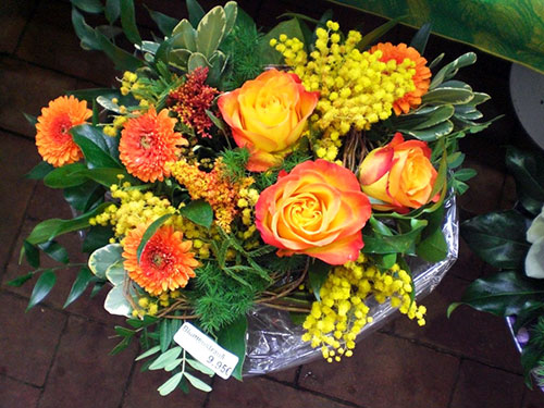 Floristik/Herbst3