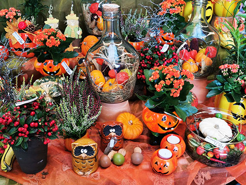 Floristik/Herbst1