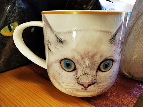 Geschenke_evergreen31