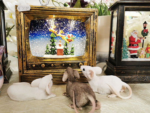 Geschenke_Xmas32